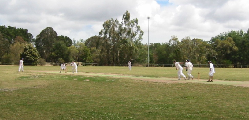 David bowls an unplayable one to Gatting.